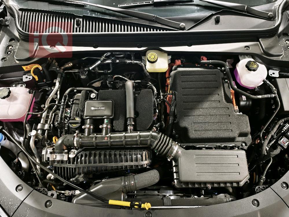 بي واي دي كوين L DM-i